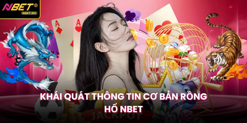 Khái quát thông tin cơ bản rồng hổ NBET