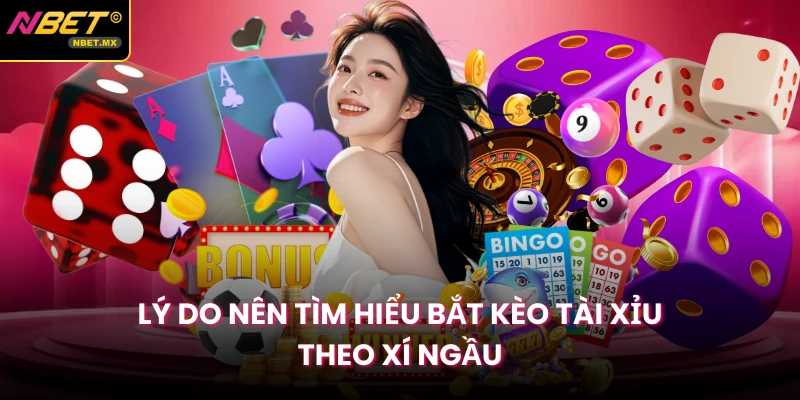 Lý do nên tìm hiểu bắt kèo tài xỉu theo xí ngầu